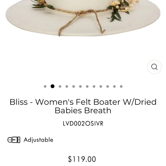 NWT Anthropologie San Diego Hat Co Boater Bliss - Picture 4 of 4